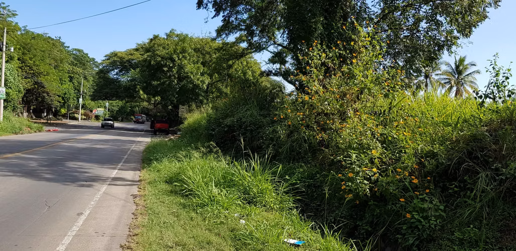 VENTA  2 MANZANA Y MEDIA FRENTE PARQUE DE LA FAMILIA SANTA ANA - Imagen 4