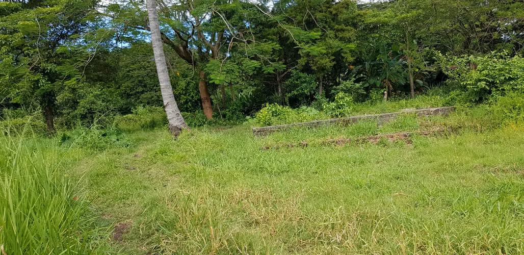 VENTA  2 MANZANA Y MEDIA FRENTE PARQUE DE LA FAMILIA SANTA ANA - Imagen 18