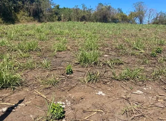 VENDO TERRENO EN SAN ANDRÉS/ CIUDAD ARCE/ CARRETERA A SANTA ANA - Imagen 2