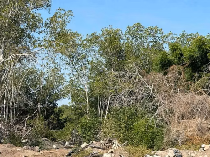 VENDO TERRENOS FRENTE AL ESTERO DE JALTEPEQUE/COSTA DEL SOL/ LA PAZ - Imagen 11