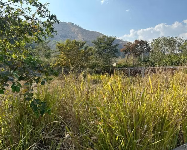 VENDO TERRENOS EN CARRETERA A TEPECOYO/ LA LIBERTAD - Imagen 5