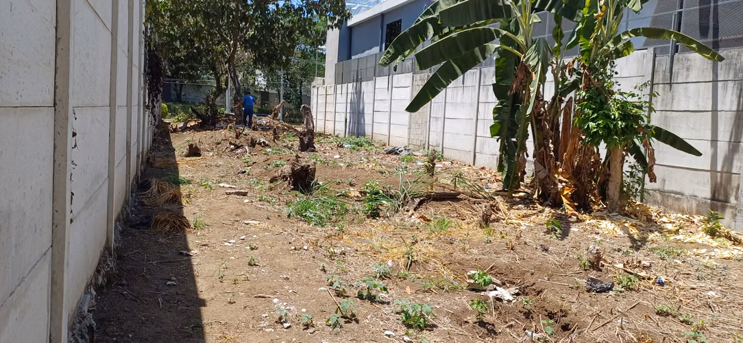 VENTA- TERRENO 1234 V2  CARRETERA   FRENTE LUNA MAYA SANTA ANA.