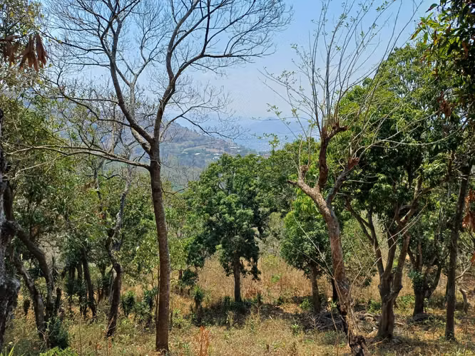 VENTA FINCA 30.6 MANZANAS CERRO SANTA LUCIA  SANTA ANA