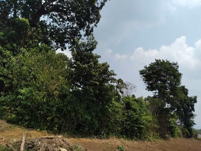Terreno en santa ana , plano a 1 kilómetros del redondel el sauce , la gasolinera puma izalco,