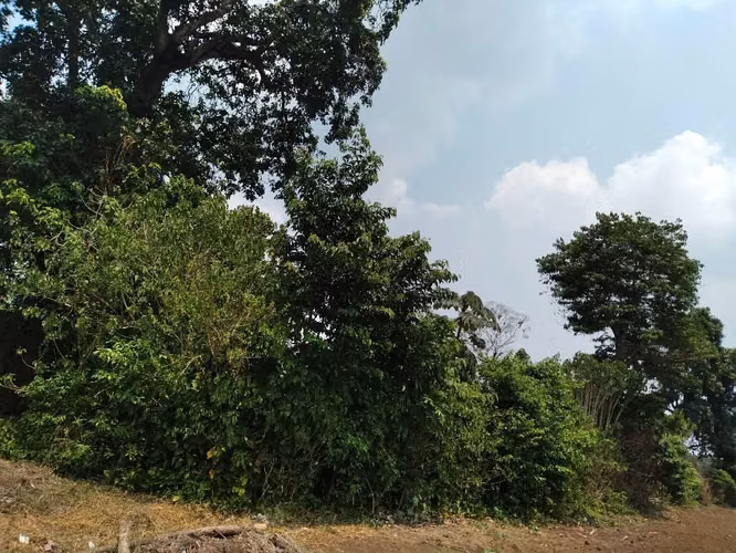 Terreno en santa ana , plano a 1 kilómetros del redondel el sauce , la gasolinera puma izalco,