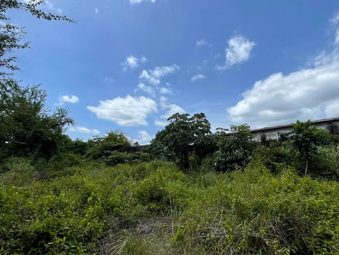 VENDO EX-BENEFICIO/FINCA VENECIA!! SOBRE CALLE A CHALCHUAPA, 76,900v²