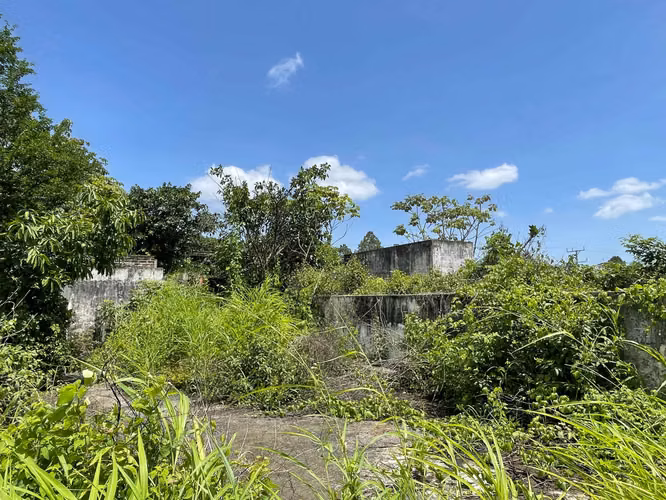VENDO EX-BENEFICIO/FINCA VENECIA!! SOBRE CALLE A CHALCHUAPA, 76,900v²