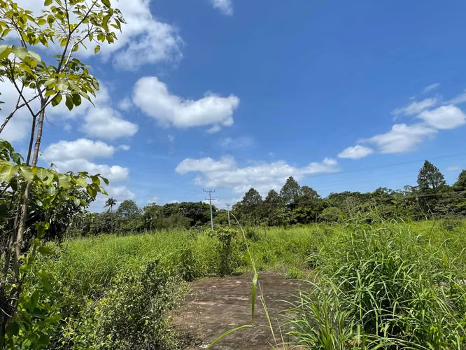 VENDO EX-BENEFICIO/FINCA VENECIA!! SOBRE CALLE A CHALCHUAPA, 76,900v²
