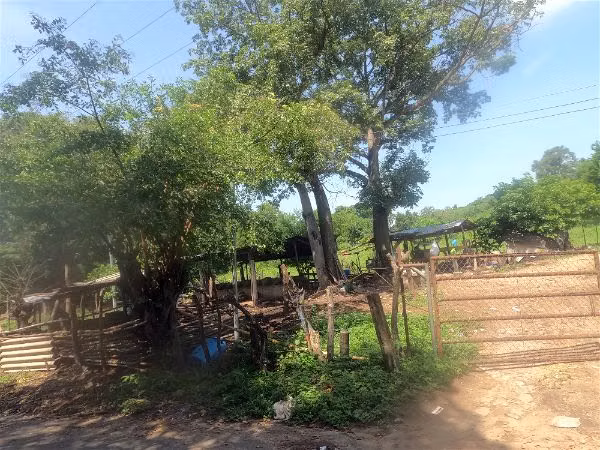  VENDO FINCA DE 25.5 MANZANAS EN AGUILARES, SAN SALVADOR - Imagen 3
