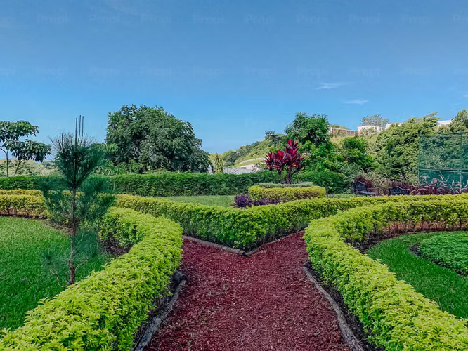 Terreno en venta en Las Luces, Zaragoza. #2560 - Imagen 16