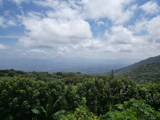 ÚLTIMO LOTE EN VENTA BRUMAS DE PORTEZUELO, JUAYUA, SONSONATE - Imagen 10