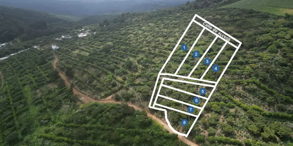 ÚLTIMO LOTE EN VENTA BRUMAS DE PORTEZUELO, JUAYUA, SONSONATE - Imagen 2