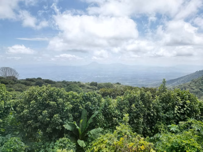 ÚLTIMO LOTE EN VENTA BRUMAS DE PORTEZUELO, JUAYUA, SONSONATE - Imagen 11