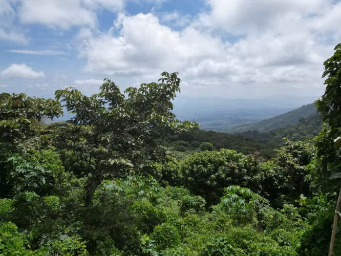 ÚLTIMO LOTE EN VENTA BRUMAS DE PORTEZUELO, JUAYUA, SONSONATE - Imagen 7