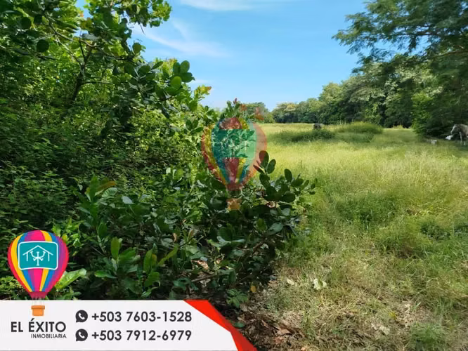 GANGA DE INVERSIÓN VENDO TERRENO DE PLAYA EN METALIO