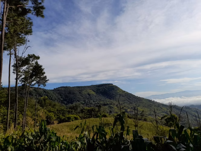 Vendo 62 manzanas de terreno en Candelaria de la Frontera, Santa Ana. - Imagen 13