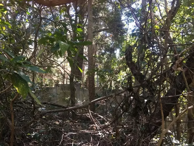 En venta Terreno por Colegio La Floresta, carretera al puerto de LL.