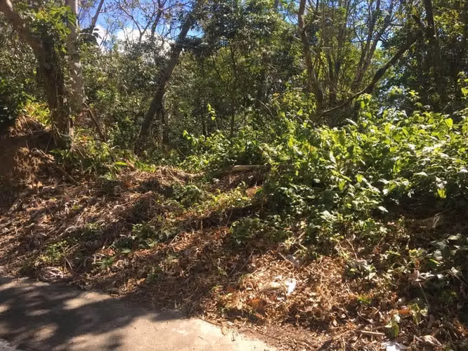 En venta Terreno por Colegio La Floresta, carretera al puerto de LL.