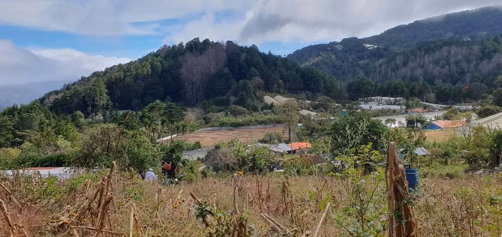 VENDO TERRENO DE 2 MANZANAS EN LOS PLANES LA PALMA CHALATENANGO - Imagen 10