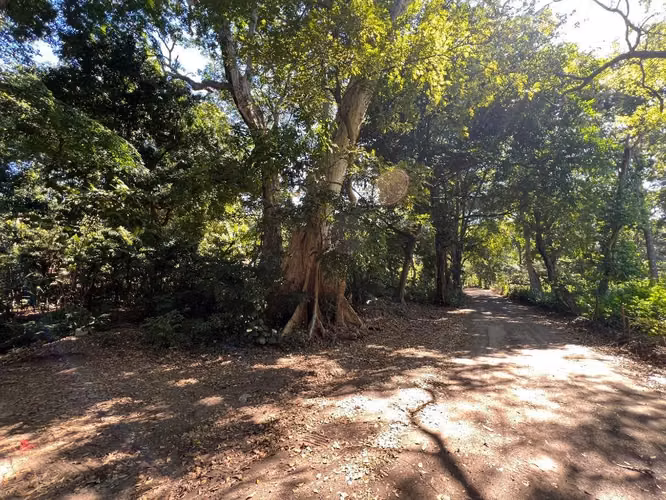 Terreno orilla de Carretera SUNZAL