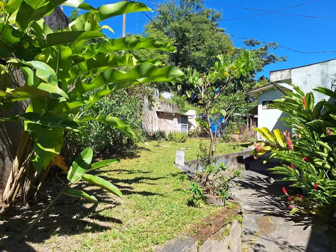 Venta de Terreno Colonia Providencia,zona Zoologico Nacional, SS - Imagen 2
