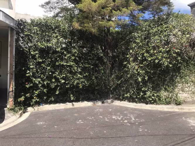 Venta de terreno