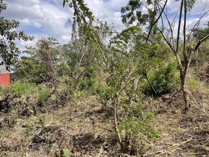 Venta nuevo precio terreno, Troncal del Norte,1.3Mz,  luz y agua, S.S. - Imagen 20