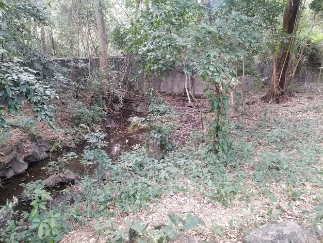 VENTA  HACIENDA  110 MANZANAS  SANTA ANA