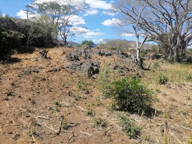 VENTA  HACIENDA  110 MANZANAS  SANTA ANA