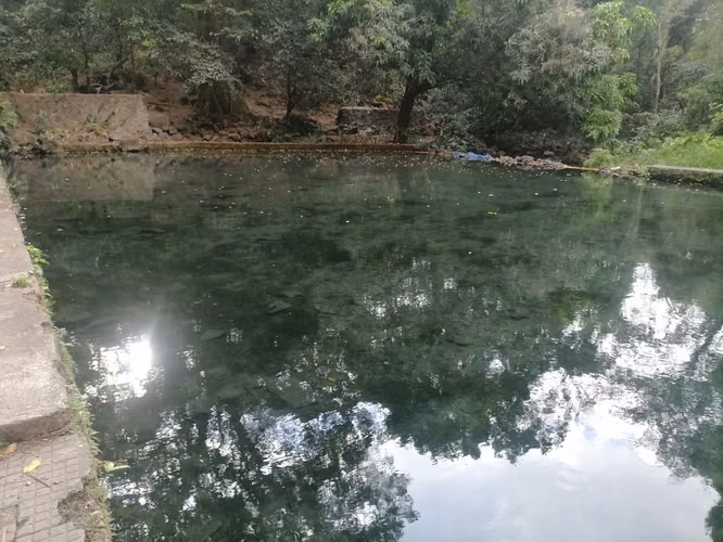 VENTA  HACIENDA  110 MANZANAS  SANTA ANA