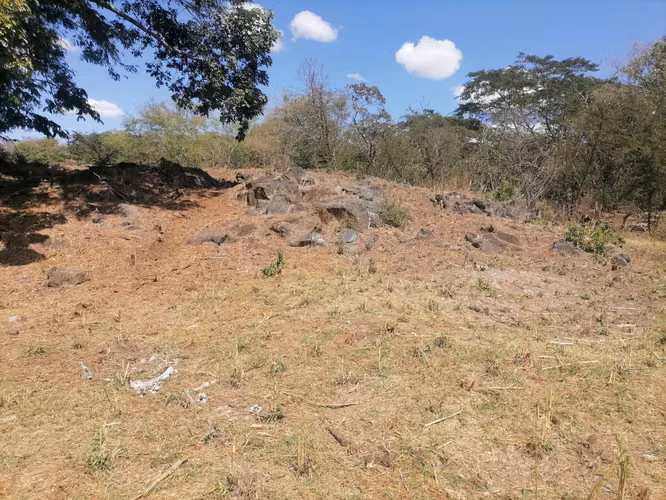 VENTA  HACIENDA  110 MANZANAS  SANTA ANA