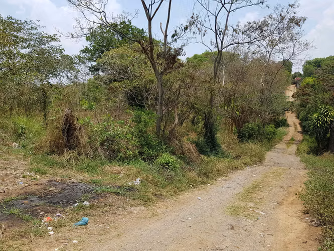 VENTA 12 MANZANAS CARRETERA PANAMERICANA CONGO - SANTA ANA - Imagen 8