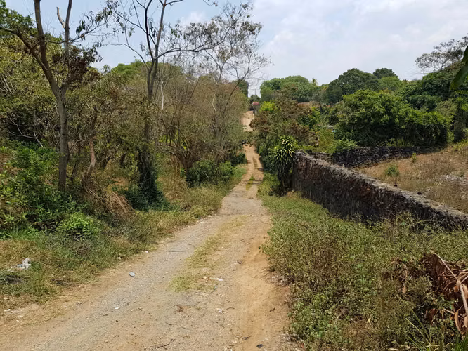 VENTA 12 MANZANAS CARRETERA PANAMERICANA CONGO - SANTA ANA - Imagen 4
