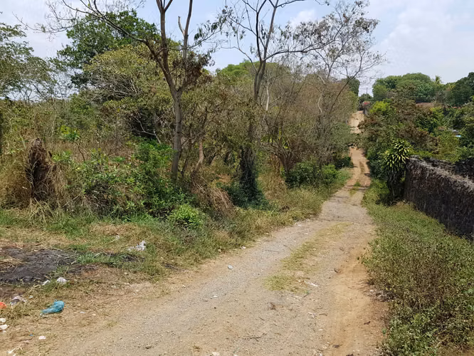 VENTA 12 MANZANAS CARRETERA PANAMERICANA CONGO - SANTA ANA - Imagen 6