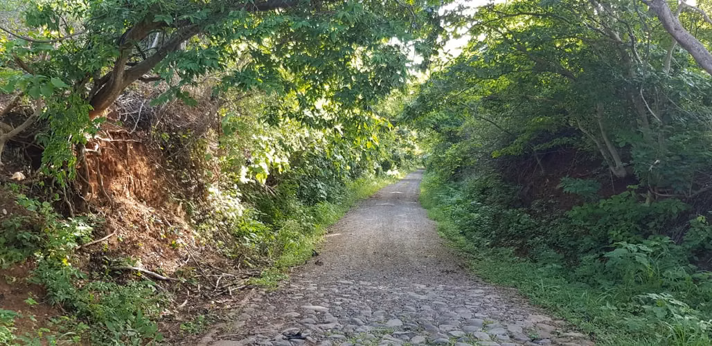 VENTA 50 MANZANAS PUENTE ARCE FRONTERA AHUACHAPÁN - Imagen 5