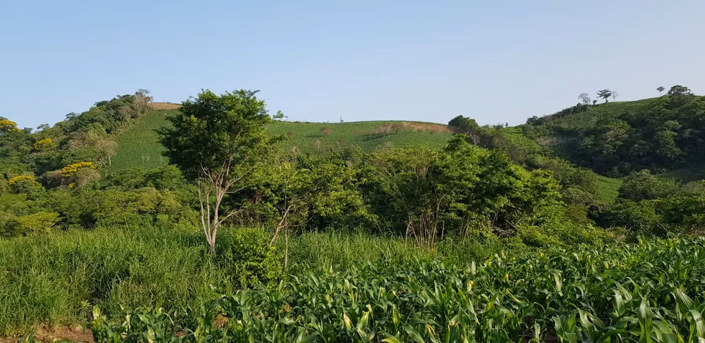 VENTA 50 MANZANAS PUENTE ARCE FRONTERA AHUACHAPÁN - Imagen 6