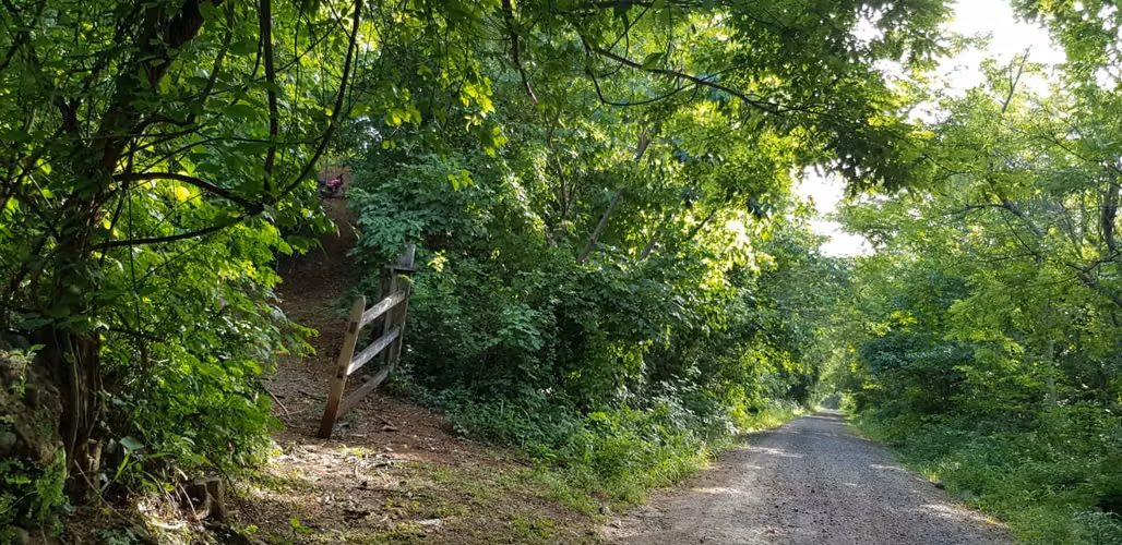 VENTA 50 MANZANAS PUENTE ARCE FRONTERA AHUACHAPÁN - Imagen 15