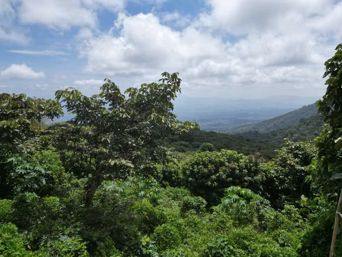 Lotes a la venta en Juayúa - Imagen 4