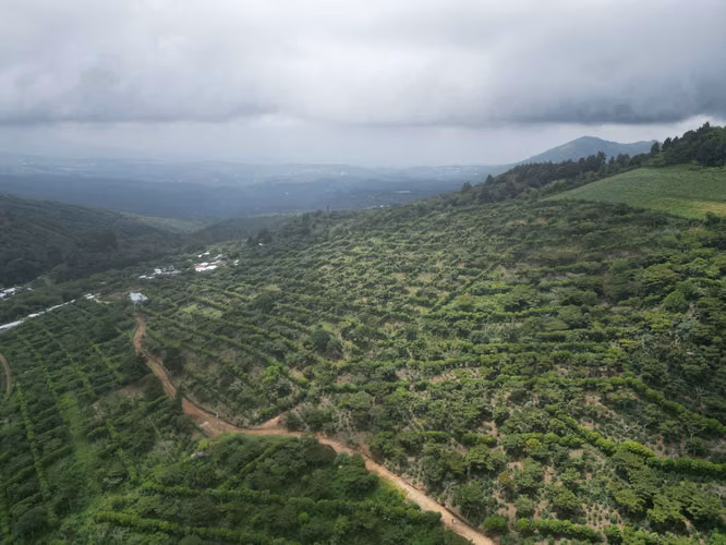 Lotes a la venta en Juayúa - Imagen 3