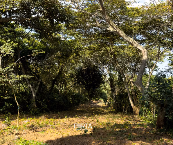 EN VENTA | TERRENOS EN CARRETERA LOS NARANJOS, SANTA ANA