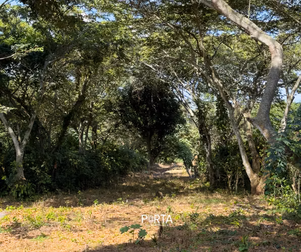 EN VENTA | TERRENOS EN CARRETERA LOS NARANJOS, SANTA ANA