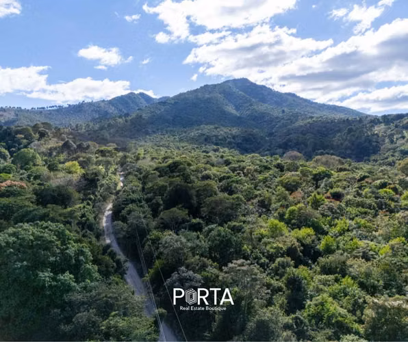 EN VENTA | TERRENOS EN CARRETERA LOS NARANJOS, SANTA ANA