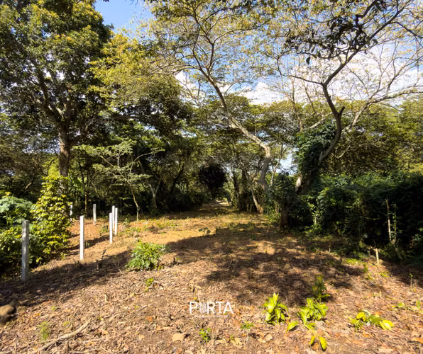 EN VENTA | TERRENOS EN CARRETERA LOS NARANJOS, SANTA ANA