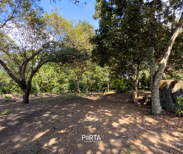 EN VENTA | TERRENOS EN CARRETERA LOS NARANJOS, SANTA ANA