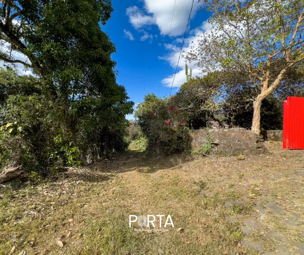 EN VENTA | TERRENOS EN CARRETERA LOS NARANJOS, SANTA ANA