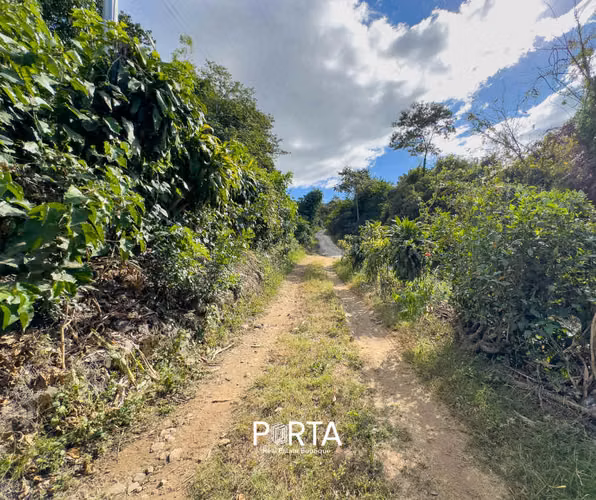 EN VENTA | TERRENOS EN CARRETERA LOS NARANJOS, SANTA ANA