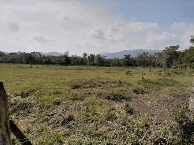 VENTA 31 MANZANAS GANADERAS CANDELARIA LA FRONTERA - Imagen 11