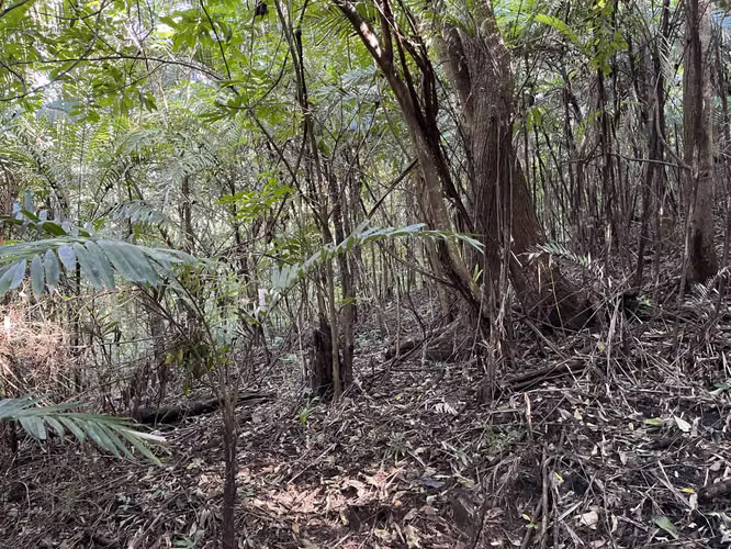 Terreno en venta PANCHIMALCO calle a Rosario de Mora 3 Km Alcaldía