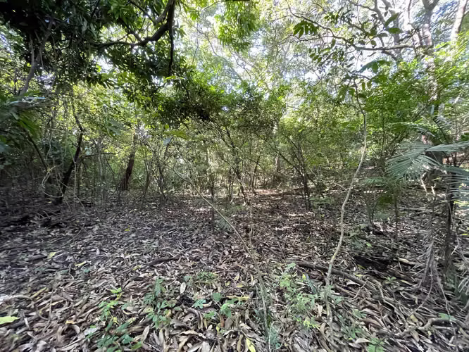 Terreno en venta PANCHIMALCO calle a Rosario de Mora 3 Km Alcaldía