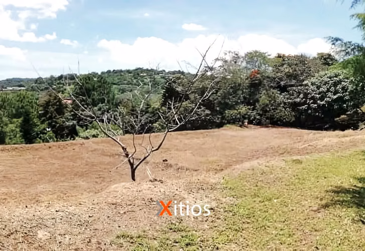 Venta de Terreno en Residencial Alturas de Tenerife - Imagen 2